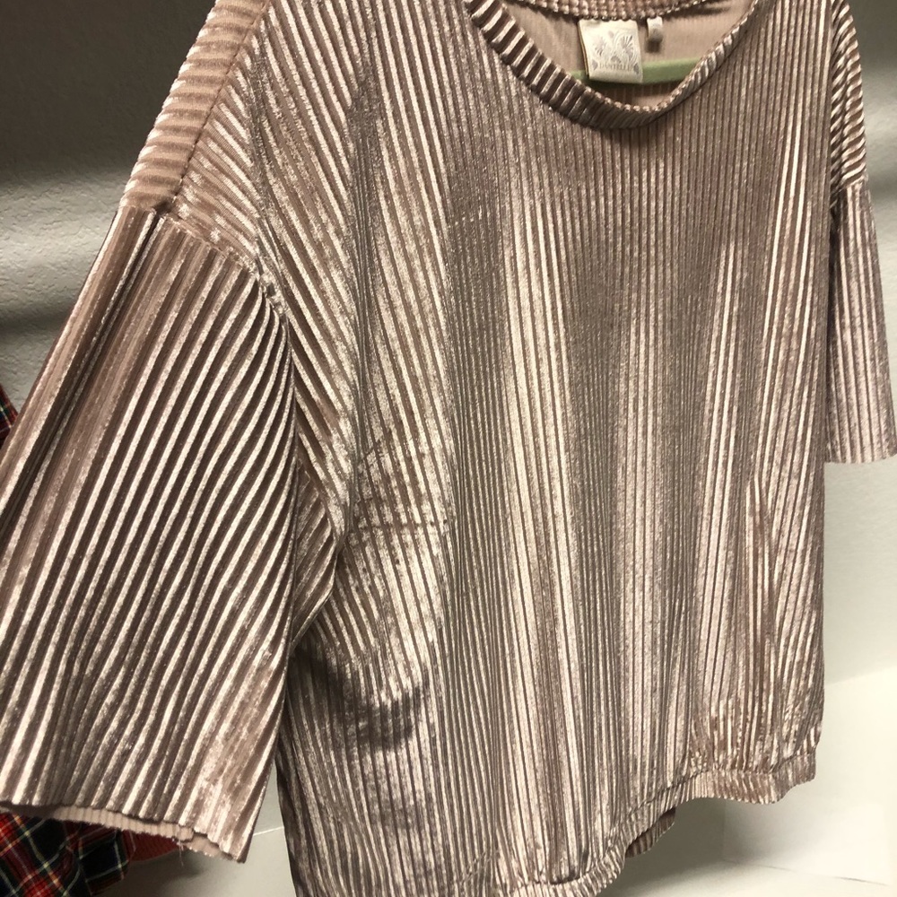 Velvet shirt sleeve pale blush top